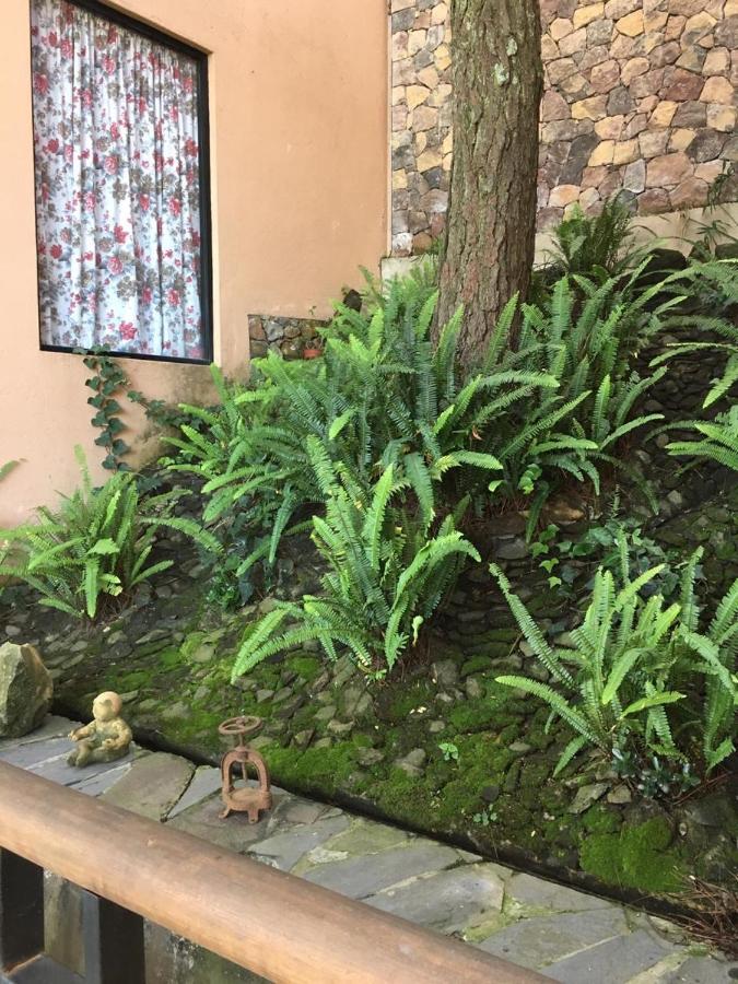 Mi Casa De Valle Valle de Bravo Esterno foto