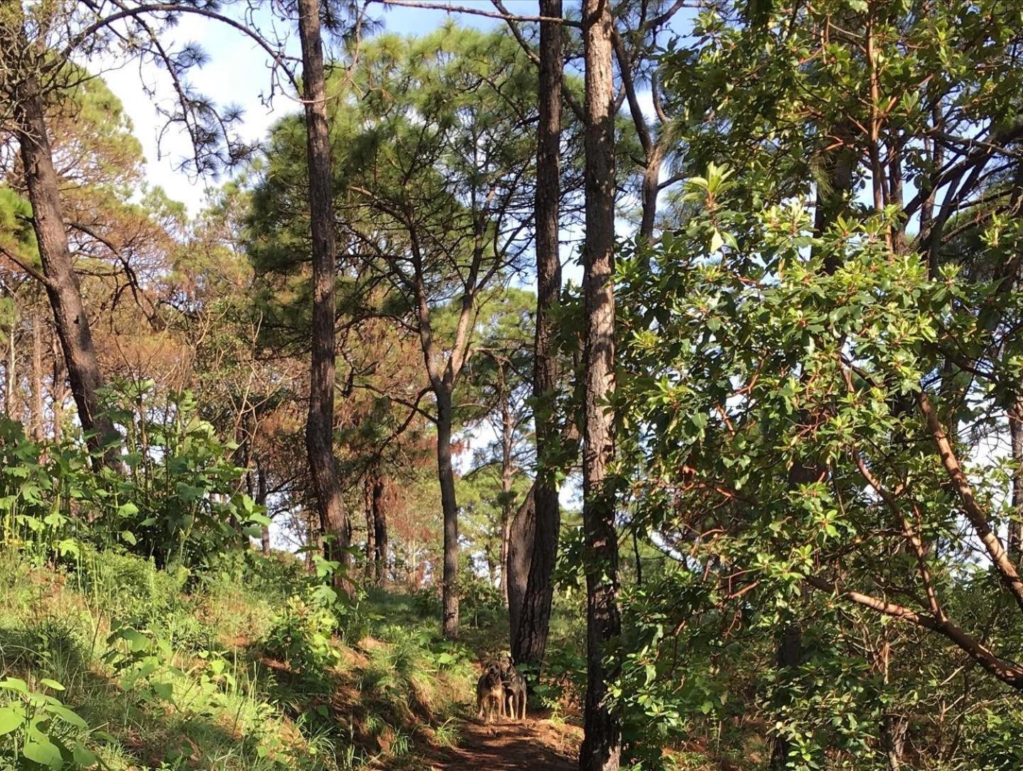 Mi Casa De Valle Valle de Bravo Esterno foto